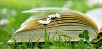 a-book-g106226eb7_1920