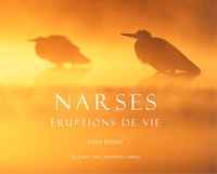 Narses_visuel
