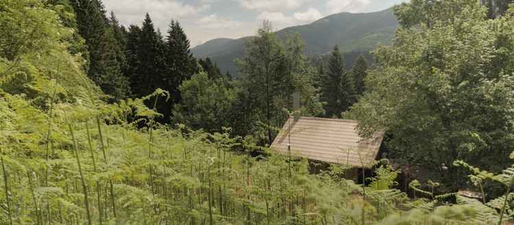 bandeau mois du doc le recours aux forets