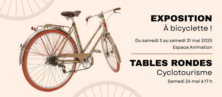 bandeau à bicyclette © vélo cité 15 (2)