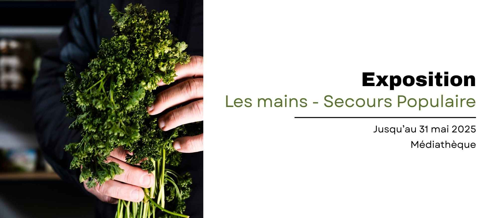bandeau les mains expo